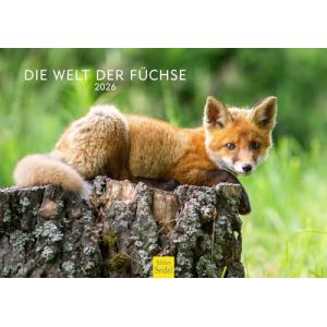 Edition Seidel Calendrier mural 2026 de qualit&eacute; sup&eacute;rieure - Format A3 - Calendrier mural - Calendrier mural - Renard - Famille de renards - Enfants - Animaux sauvages - Animaux de la for&ecirc;t (Seidel Verlag GmbH, neuf)