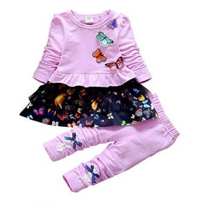 Printemps Automne Infant Petit b&eacute;b&eacute; Filles Ensemble de v&ecirc;tements 2 pi&egrave;ces Ensemble t-Shirt &agrave; Manches Longues et Pantalon Jupe pour Enfants Enfants Gilrs Toddler b&eacute;b&eacute; (1-2a, Violet) (LittleWish, neuf)
