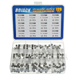 BOJACK 12 Valeurs 120 pièces Kit d'assortiment de Fusibles à action lente 5x20mm 250V T0.5 1 1.25 1.6 2 2.5 3 3.15 4 5 6.3 10 A Emballage dans une boîte en plastique transparente (BOJACK, neuf)