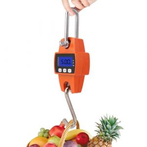 Jadeshay Peson Electronique, 300 KG 660 lb Balance de Grue Numérique Balance Suspendue Industrielle Balance Electronique Avec Crochet pour Pesage au Quai, Pêche (jadeshay, neuf)