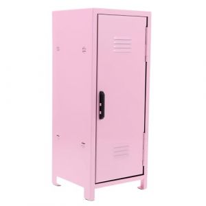 Veemoon Armoire de Rangement Cosm&eacute;tique M&eacute;tallique Compacte Rose avec Serrure et Cl&eacute;s, Organiseur de Cosm&eacute;tiques pour Bureau et Maison, Bo&icirc;te &agrave; Cadenas pour Filles, Trousse de Maquillage (hagan panting, neuf)