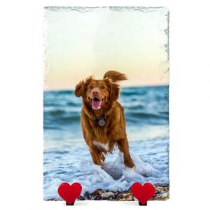 AIGAT Plaque Commémorative Rectangulaire Personnalisée 20 X 30 cm avec Support en Forme De Coeur pour Chat, Chien, Pierre Et Ardoise - Photo Complète À La Verticale (AIGAT, neuf)