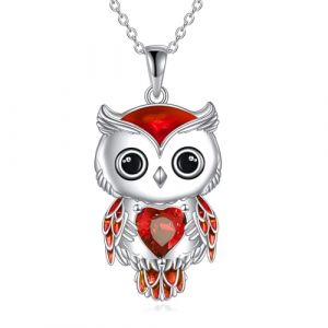 Collier Hibou Bijoux Cadeaux pour Femmes en Argent Sterling Pierre de Naissance Hibou Pendentif Collier Bijoux de Noël pour Les Filles (01-Janvier) (zhanglushop, neuf)