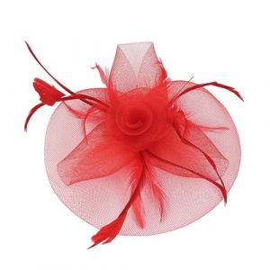 Chapeau bibi en maille avec fleurs et rubans en plumes pour femme - Chapeau de thé vintage pour cocktail (rouge, taille unique) (ZJens, neuf)