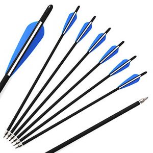 ACCMOS 20" Fl&egrave;ches Arbal&egrave;te Chasse Fl&egrave;che d'arbal&egrave;te Diam&egrave;tre Int&eacute;rieur 7.6mm 20 Pouces Fl&egrave;ches de Carbone avec Pointe en Acier Amovible Tir &agrave; l'arc Chasse Tir Cible d'entrainement (ACCMOS Fl&egrave;ches, neuf)