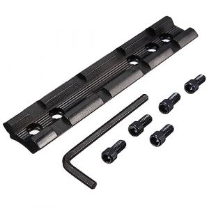 ACEXIER 10cm Picatinny/Dovetail Rail Rail à Profil Bas 20mm Weaver Picatinny Rail Mount (BOXUN-FR, neuf)