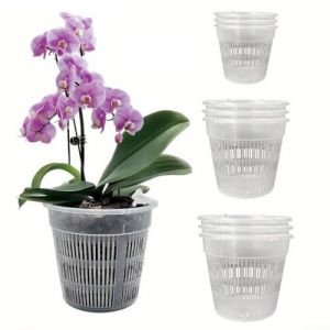 Lot de 6 pots &agrave; orchid&eacute;e transparents en plastique avec trous de drainage et soucoupes, pour plantes et fleurs, kit de rempotage d'orchid&eacute;e (11 cm/14 cm/16 cm) (11 cm) (homefurnishmall, neuf)