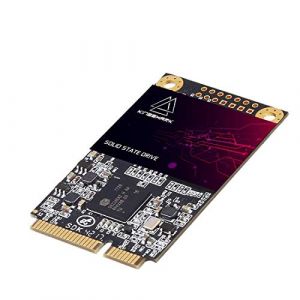 KingShark Msata SSD 64Go Internal mSATA SSD 30 * 50MM 6 GB/s Interne Disque Dur De Bureau Portable De Haute Performance De Lecteur De Disque Dur mSATA Mini Disque Dur (64Go MSATA) (Kingdata Official Store, neuf)