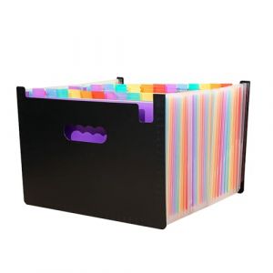 LIMEQKI Trieur Document 37 Compartiments A4, Porte Document Avec Color&eacute; Organiseur Organisateur De Bureau Classeur Trieur Rangement Dossier Classement Papier Administratif (Noir) (DTRainbow, neuf)