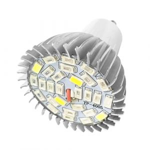 &Eacute;l&egrave;vent la Lumi&egrave;re LED Bande, Ampoule de Lampe de Croissance pour Fleur Groeilamp E14 Plante 85V 265V E14 28W Spectre Complet LED &eacute;l&egrave;vent la Lumi&egrave;re (GU10) (Reminnbor, neuf)