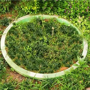Couvercle de Regard avec Cadre Couvercle de regard rond vert et cadre, couvercles de pots de plantation d'herbe renforc&eacute;s encastr&eacute;s pour bassin de r&eacute;tention/fosse septique/&eacute;gouts, couvercles(40x40cm) (MLYAYE, neuf)