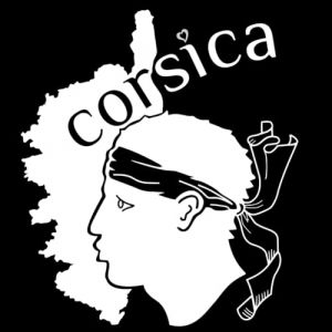 Sticker Corse, Stickers Auto Corsica, Autocollant Tete de Maure, Vinyle haute performance pour Voiture (21 x 24 cm, blanc polaire) (tmz-creation, neuf)