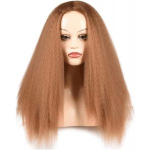 Naturelle Perruque Perruque Longue Perruque Afro Perruques Pour Les Femmes Noires Perruque De Cheveux Naturels Perruque De Cheveux Raides Perruque Synthétique Perruque Naturelle Cheveux Naturel (yizhishizizaichuangtou, neuf)