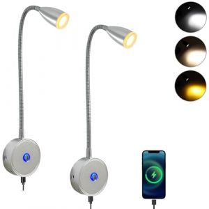 Intckwan Lampe de lecture LED 12 V, 3 temp&eacute;ratures de couleur, 3 W, variable, col de cygne flexible, DC12-24 V, pour voiture, camion, caravane, camping, bateau (2 pi&egrave;ces) (wintek global store, neuf)