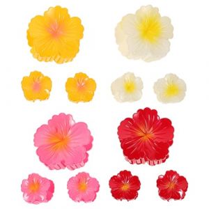 Cabilock Lot de 12 Pinces à Cheveux Fleur de Frangipanier Dégradé Blanc Jaune Rose Rouge Accessoires Légers et Résistants pour Coiffures Féminines pour Voyages et Usage Quotidien (Nadine Quick, neuf)