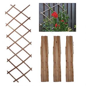 DIVCHI Lot de 3 treillis muraux extensibles en bois pour plantes grimpantes, décoration et séparation des plantes (180 cm x 30 cm) (bois naturel) (Vicky_Hemdev (VAT Registered UK Company), neuf)