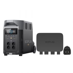 Chargeur de Batterie de Voiture EF EcoFlow 800 W, Chargeur Rapide et Polyvalent 3 en 1, mainteneur de Batterie et démarreur de Secours,Installation Facile (Chargeur d’alternateur+Delta Pro（3.6kwh）) (Ecoflow-FR, neuf)