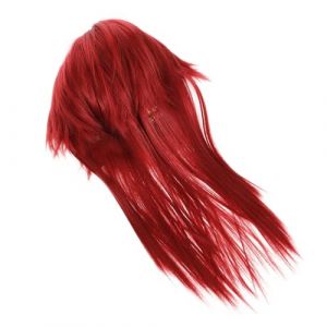 SAFIGLE Perruque Mulet Longue Pour Homme Cosplay Cheveux Style Mulet Déguisement Anime Facile Coiffage (Grand Di, neuf)