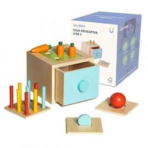 Wuddis Cube D'activit&eacute; B&eacute;b&eacute; 4 en 1 - Jouet Montessori 1 an - Jeux de Motricit&eacute;e, Peinture &Eacute;cologique et Bois Certifi&eacute; FSC, Id&eacute;al pour l'Apprentissage et Le Jeu en Toute S&eacute;curit&eacute; (E. G. MLA, neuf)