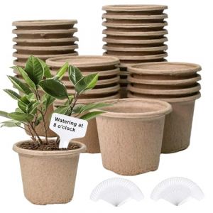 VGECEE 30PCS Pots de Culture Biod&eacute;gradables Pots de Semis en Fibre Biod&eacute;gradable de 11 CM avec 60 &eacute;tiquettes de Plantes Godets Plantes Fibre Pot de Tourbe pour Jardin Balcon Terrasse Serre (Teksyjiuh, neuf)
