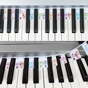 QMG Notes de clavier de piano colorées pour débutants, étiquettes de notes amovibles pour l'apprentissage, 61 touches de taille normale, réutilisables, pas besoin d'autocollants (DVN Products LTD, neuf)