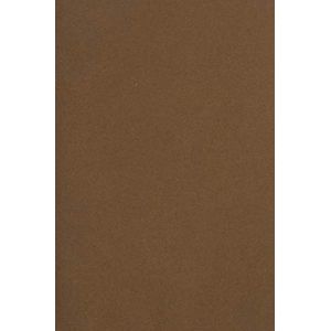 Netuno 20x carton marron 250g papier d&eacute;coratif A4 210x297mm Burano Tabbacco id&eacute;al pour cartes de voeux scrapbooking bricolage invitations art et artisanat anniversaire DIY loisirs cr&eacute;atifs (netuno, neuf)