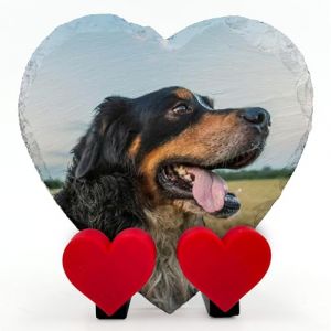 AMAZING Plaque Commémorative en Forme De Coeur avec Photo Et Texte Ardoise pour Chien Chat avec Présentoir en Forme De Coeur - Taille 10x10 cm (PrintAmazing, neuf)