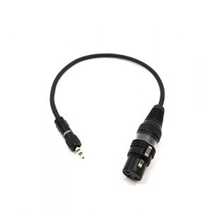 Adaptateur pour câble micro 30cm mini jack 3.5mm vers XLR 3 broches femelle pour caméra DSLR DSLM prise plaquée or 0.3m - SC-AK600-MF-0030 (male <> femelle) (Selected Cable - Pro Audio / Video Câble & HI-FI, neuf)