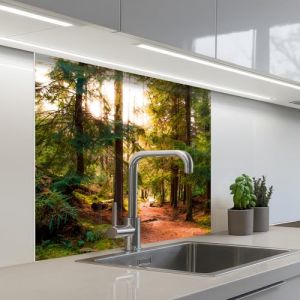 KitchenYeah&copy; Cr&eacute;dence Cuisine &Agrave; Coller 80x80 cm Protection Plaque De Cuisson Adhesif Plastique Rigide Dalle Murale For&ecirc;t - Chemin - Arbres - Vert - Soleil - Nature (KitchenYeah, neuf)