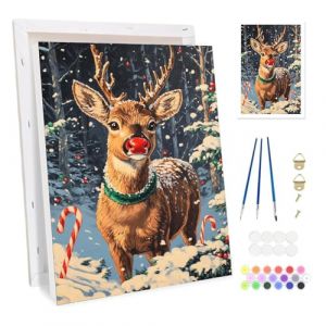 Bowetile Peinture par Num&eacute;ros Renne de No&euml;l Avec Cadre pour Adultes, Kit No&euml;l Paysage Peinture Numero pour D&eacute;butants Kit Toile, DIY Peinture Acrylique pour D&eacute;coration de la Maison 20x30cm (Bowetile Direct, neuf)