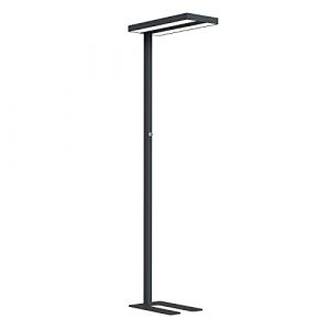 NCC-Licht Lara Lampadaire LED noir Up & Down 2 x 40 W 8800 lm Blanc neutre 4000 K UGR<17 Intensité variable (ncc-design, neuf)