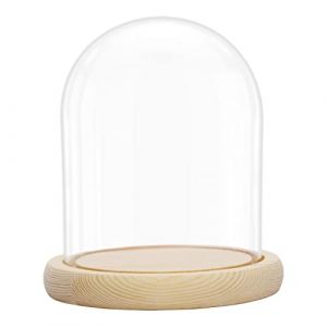 BELLE VOUS Cloche en Verre avec Socle en Bois Naturel - 16,2 cm de Haut - Mini Cloche en Verre Transparent pour Lumières, Plantes, Décoration de Table (Tinyyo Europe, neuf)