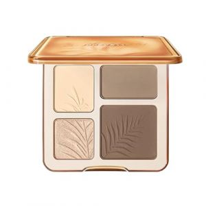 Palette De Contour Et D'Illuminateur,4 Couleurs Produits de Beaut&eacute; Imperm&eacute;ables - Palette Contour Voyage Pour Femmes,Pour Femmes Matures &agrave; Peau Sensible, D&eacute;butantes, Quotidien, Voyage, Soir&eacute;e, Ext&eacute;rie (ChenSilver, neuf)