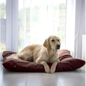 4L Textil ZOE Coussin pour chien imperm&eacute;able avec housse Housse amovible pour chien grand chien Coussin lavable pour chien grand chien Coussin XXL pour chien (120x100 cm, Brun) (4L TEXTIL, neuf)
