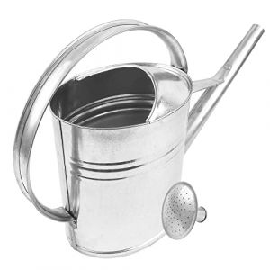 BAUSTER® Arrosoir ovale en zinc de 8 litres avec douchette d'arrosage pour le jardin et la serre - Arrosoir de jardin galvanisé pour l'intérieur et l'extérieur pour arroser les fleurs (Shop_Bauster, neuf)