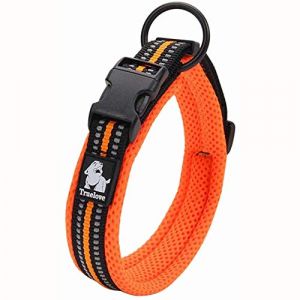 TRUE LOVE Collier de Chien Réfléchissant Réglable Nylon Solide Confort rembourré Colliers Pet Classic TLC5011(Orange,L) (Truelove Pet Garment and Shoes Co.Ltd., neuf)