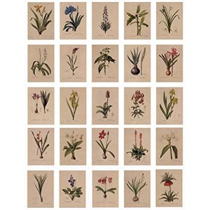 Cartes Postales R&eacute;tro, Cartes Postales Lis Vintage (24 cartes) avec Beau langage floral imprim&eacute; sur Papier Kraft, amour, amiti&eacute;, vie, cartes de v&oelig;ux motivantes (KUAXING, neuf)