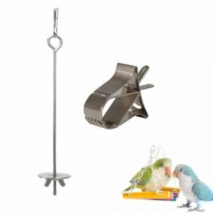 Support de Nourriture de Perroquet, Perroquet Brochette Mangeoire, Brochette d'oiseau en Acier Inoxydable, Porte Fruits Perroquet, Brochette Nourriture Perroquet, Porte-Nourriture pour Oiseaux, 2PCS (TOPREOW, neuf)