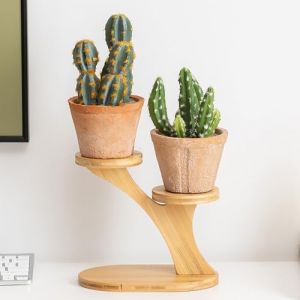 JUMRHFAN Petit support de plantes en bois, &eacute;tag&egrave;re &agrave; plantes pour rebord de fen&ecirc;tre, support de plantes rond pour table, support de plante pour bureau, chambre &agrave; coucher (Style 1) (JUMINEUK, neuf)