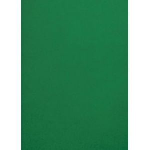 Netuno 50x papier couleur vert foncé A4 210 x 297 mm 120g Malmero Amazone papier coloré pour invitations mariage projets créatifs cartes de vœux papier cartonné haute qualité papier de bricolage (netuno, neuf)