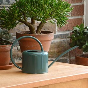CKB LTD Petit arrosoir d'intérieur de 1,1L en Acier galvanisé avec revêtement en Poudre de Couleur Craie, pour Plantes d'intérieur Design Contemporain en métal avec Bec étroit et poignée Haute (Vert) (CKB_LTD, neuf)