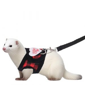 BOXOB Ensemble Harnais et Laisse pour Petits Animaux, Motif Écossais Rouge Harnais Souple Réglable avec Laisse Résistante Anti-Fuite Idéal pour Furets Lapins Cochons d'Inde Hamsters et Chatons (ChuangYing, neuf)