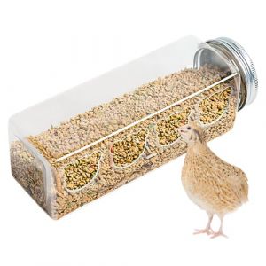 Teksome Mangeoire pour poussins &ndash; 4 ports d'alimentation pour ours mignons &ndash; Distributeur de nourriture pour poulet sans d&eacute;sordre | Accessoires de cage pour perroquets, cailles, perruches, basilics, (tangzkc, neuf)