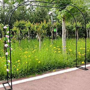 1,2 M 1,4 M 1,8 M 2,0 M 2,4 M 3,0 M 3,5 M Grande Arche De Jardin En M&eacute;tal, Support Pour Plantes Grimpantes, Tuyau Galvanis&eacute; De 19 Mm, Arceau &Agrave; Rosiers, Largeur C&ocirc;t&eacute;: 25cm ( Size : 2.8mx2.2mn/9.2ftx7.2 (WMQBD, neuf)