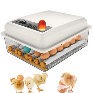 Incubateur Oeufs Couveuses Automatique 16 œufs Retournement Automatique, Contrôle De La Température Réglable avec LED Lumière D'oeuf Intégré pour Poulet, Canard, Oie, Pigeon (Rosyfine, neuf)