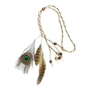 FUXIU Coiffe Américaine Plumes Bandeaux Indiens Coiffe Plumes Coiffe Coiffe Hippie Bijoux (JiaoJIan, neuf)