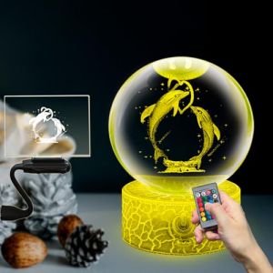 Boule de verre boule d&rsquo;amiti&eacute; deux dauphin Dabble mod&egrave;le oc&eacute;an 3.15in ornement de cristal lampe de nuit de table comprend le support &agrave; distance LED 16 couleurs lumi&egrave;re cadeau de d&eacute;cor &agrave; la maison (Yan-tech EU, neuf)