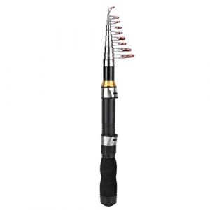 Canne à pêche,Mini Canne à pêche télescopique,Petite Canne à pêche, Canne à pêche rétractable, Canne à pêche de Voyage Portable en Plein air pour la pêche en Eau Douce en Eau salée(2.1m) (xjinwalo, neuf)