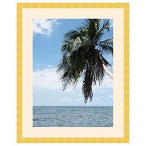 Cadre Photo avec Passe-Partout Peach pour Image 46x61 cm ou 61 x 46 cm Cadres Jaune Moutarde, 3 cm de Largeur, Cadre en Bois (RK Cadres, neuf)