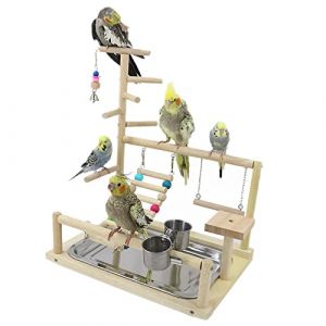 WishesMar Aire de Jeux pour Oiseaux Terrain de Jeu pour Perroquet avec Support Perchoirs Gobelet d'alimentation Balançoire Échelle et Plateau pour Calopsitte Cockatiel, Bois, Taille 45x37x26 CM #B (Nicemeet999, neuf)